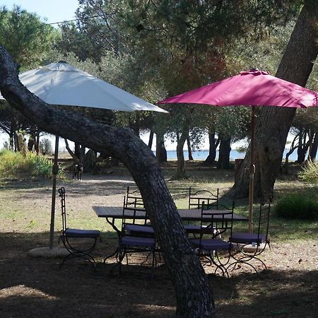 Joli Mas Au Bord De L'Etang De Thau Villa Marseillan  Exterior foto