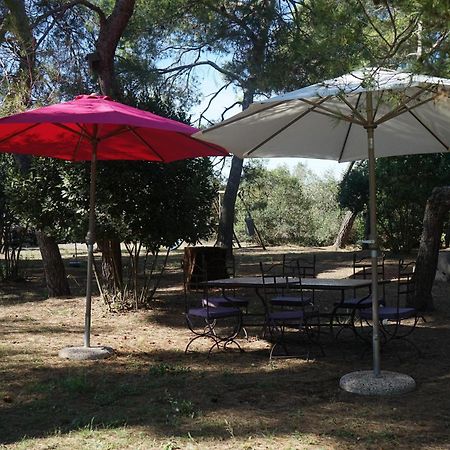 Joli Mas Au Bord De L'Etang De Thau Villa Marseillan  Exterior foto