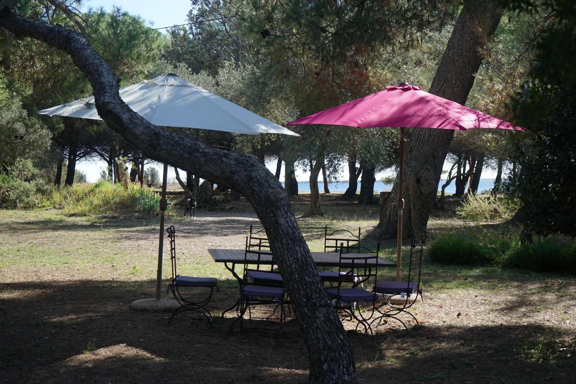 Joli Mas Au Bord De L'Etang De Thau Villa Marseillan  Exterior foto