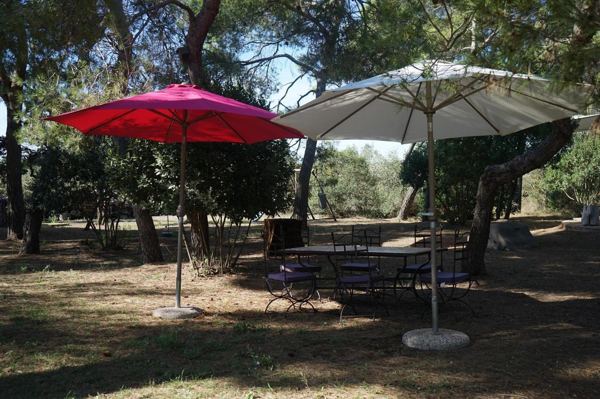 Joli Mas Au Bord De L'Etang De Thau Villa Marseillan  Exterior foto
