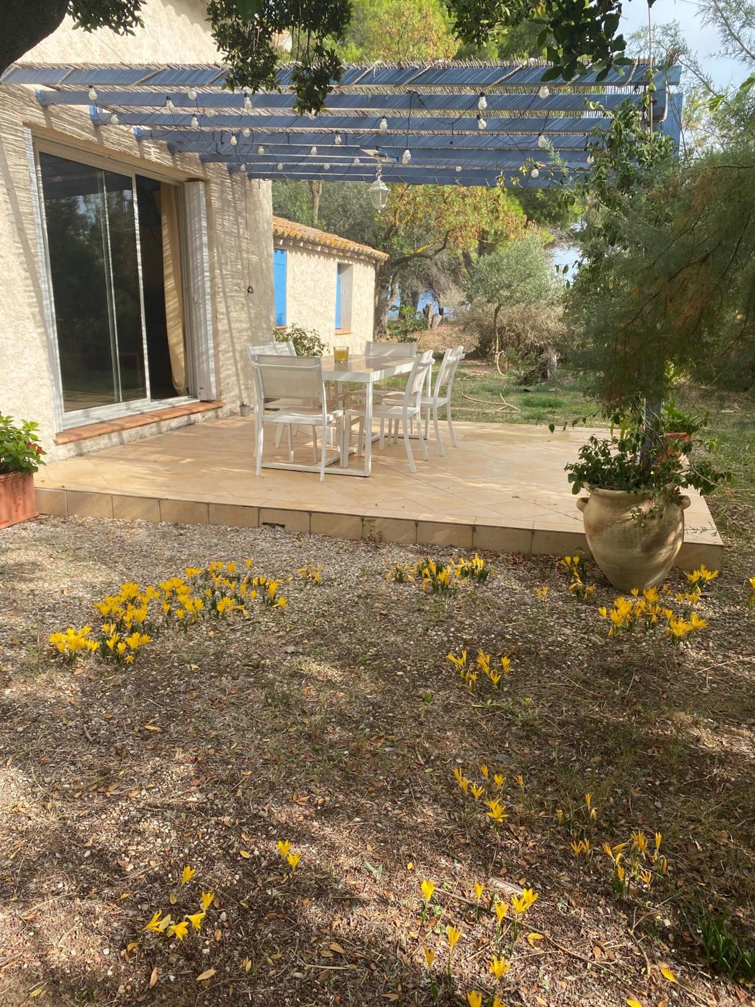 Joli Mas Au Bord De L'Etang De Thau Villa Marseillan  Exterior foto